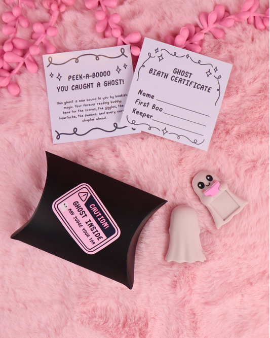 Spook Reading Buddy E-reader