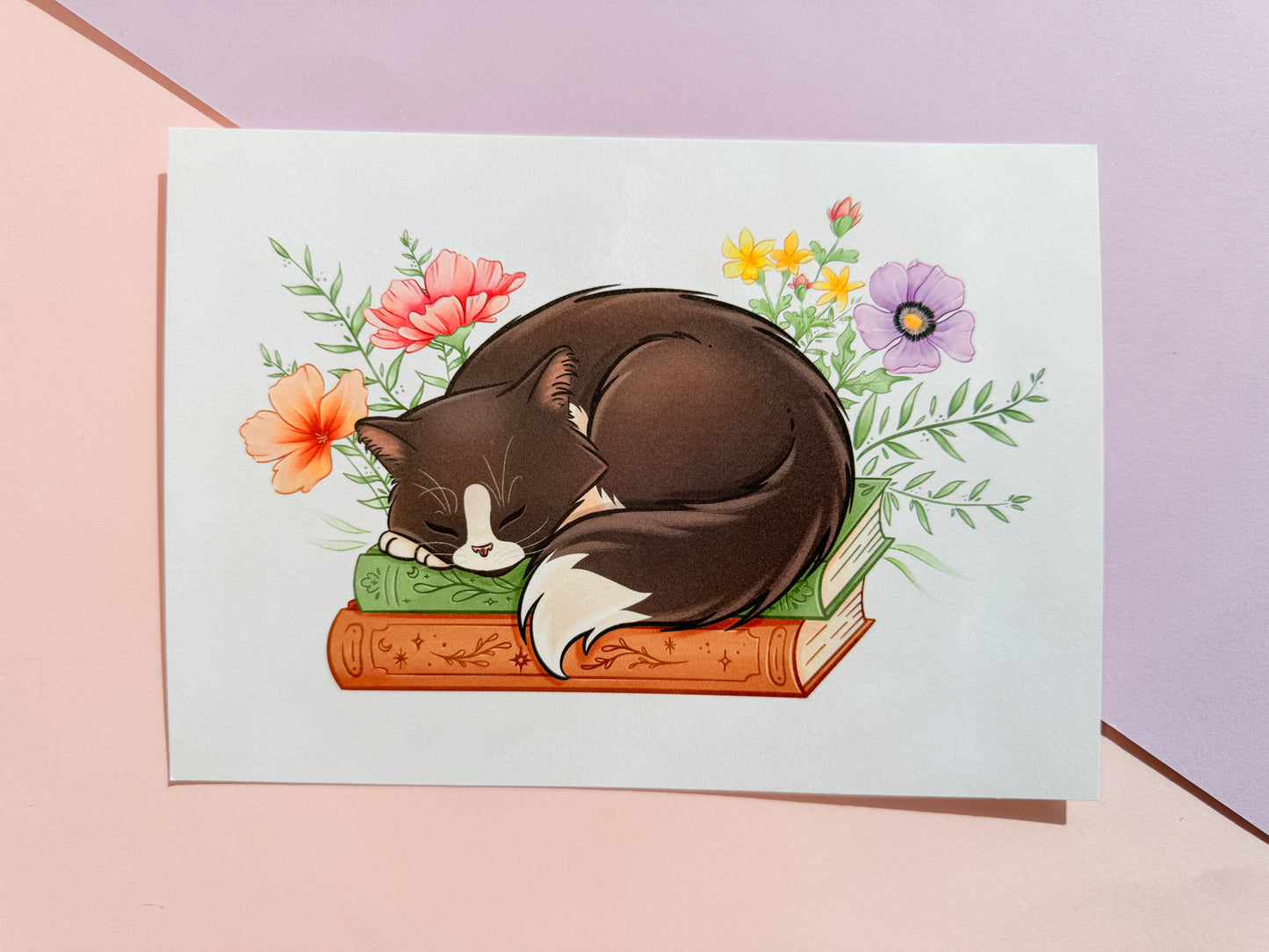 A5 print - Kitty on books (Leonie Jonk)