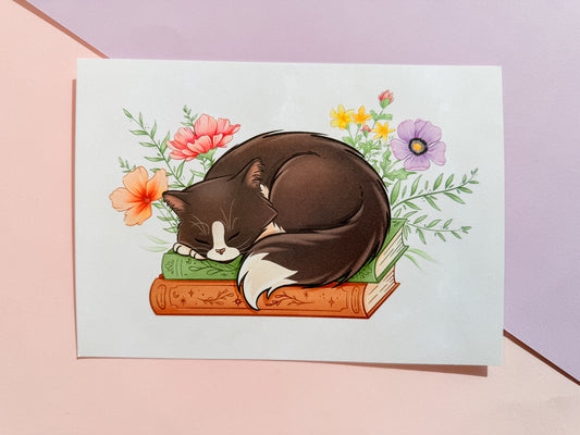 A5 print - Kitty on books (Leonie Jonk)